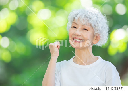 新緑　女性　グレーヘア　ガッツポーズ 114253274