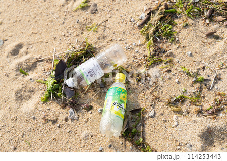 海のゴミ444 海のゴミ444 114253443
