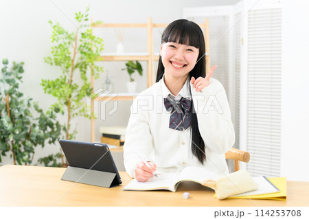 勉強をする女子高生　ポイント 114253708