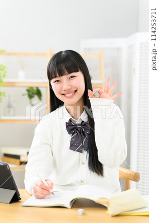 勉強をする女子高生 OK 勉強をする女子高生 OK 114253711