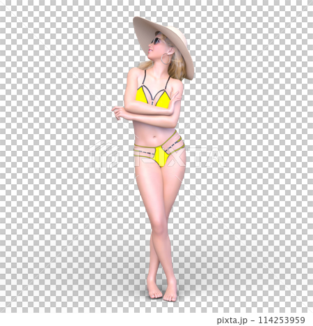 比基尼泳裝形象的一名婦女 114253959