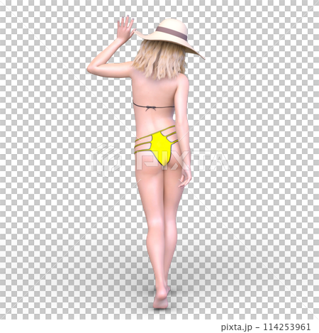A woman in a bikini figure 114253961