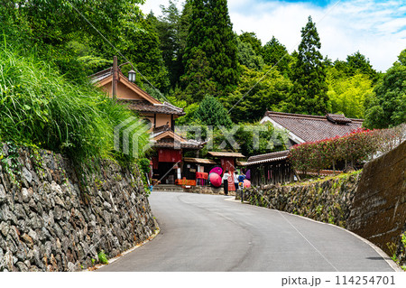【重要伝統的建造物群保存地区】吹屋　初夏の町並みの風景1　岡山県高梁市成羽町 114254701