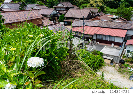 【重要伝統的建造物群保存地区】吹屋 初夏の町並みの風景19 岡山県高梁市成羽町 【重要伝統的建造物群保存地区】吹屋 初夏の町並みの風景19 岡山県高梁市成羽町 114254722