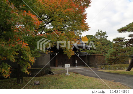 綺麗に色づく紅葉と局門 皇居 綺麗に色づく紅葉と局門 皇居 114254895