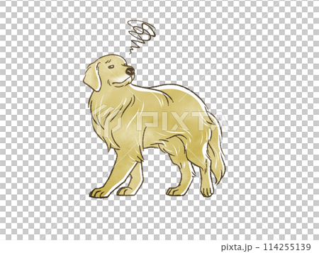 golden retriever in trouble golden retriever in trouble 114255139