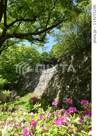 世界遺産 南漢山城・南門の城壁【韓国広州市】 114255280