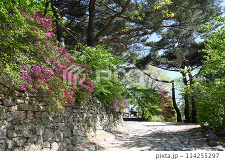 世界遺産 南漢山城ハイキングコース(守御将台)【韓国】 世界遺産 南漢山城ハイキングコース(守御将台)【韓国】 114255297