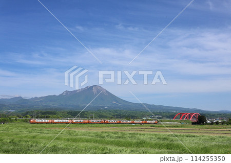 ブロンズやくもと大山　5 114255350