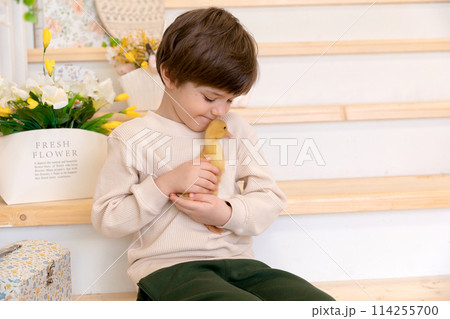 A boy sits at kitchen of rustic style and hugs little yellow duckling A boy sits at kitchen of rustic style and hugs little yellow duckling 114255700