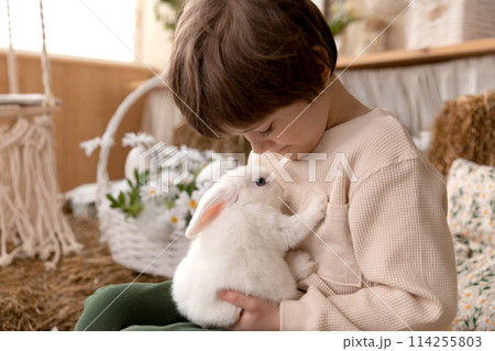 White Easter rabbit sits on the hands of a little boy, who huggs the rabbit White Easter rabbit sits on the hands of a little boy, who huggs the rabbit 114255803