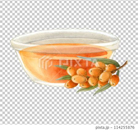 Orange sea buckthorn oil in glass bowl with berries branch watercolor illustration isolated on white. Organic herbal product for healthy lifestyle, natural cosmetics and traditional medicine Orange sea buckthorn oil in glass bowl with berries branch watercolor illustration isolated on white. Organic herbal product for healthy lifestyle, natural cosmetics and traditional medicine 114255876