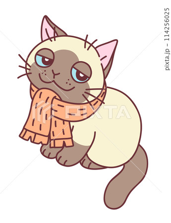 Cat in a scarf vector illustration 114256025