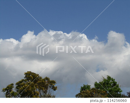 稲毛海浜公園で見る青空と白い雲 稲毛海浜公園で見る青空と白い雲 114256060