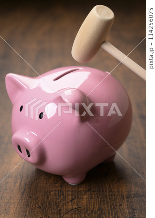 ブタの貯金箱とハンマー ブタの貯金箱とハンマー 114256075