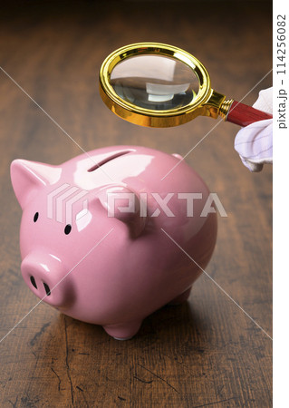 ブタの貯金箱と虫眼鏡 114256082