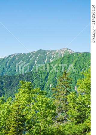 夏の燕岳登山（合戦尾根から大天井岳方面の眺め） 114256114