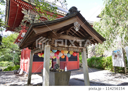 雨引観音　2023-9-3　＃5 114256154