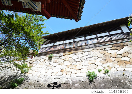 雨引観音　2023-9-3　＃9 114256163