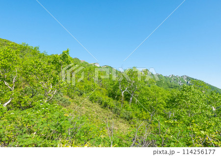 夏の燕岳登山（合戦尾根から燕山荘を望む） 114256177