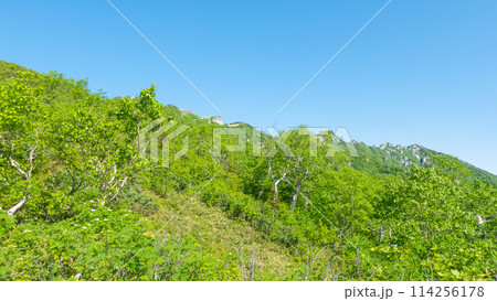 夏の燕岳登山(合戦尾根から燕山荘を望む) 夏の燕岳登山(合戦尾根から燕山荘を望む) 114256178