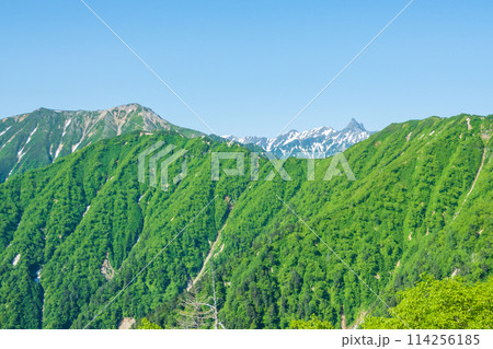 夏の燕岳登山（合戦尾根から大天井岳・槍ヶ岳方面の眺め） 114256185