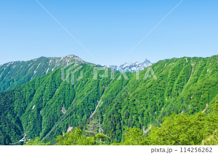 夏の燕岳登山（合戦尾根から大天井岳・槍ヶ岳方面の眺め） 114256262