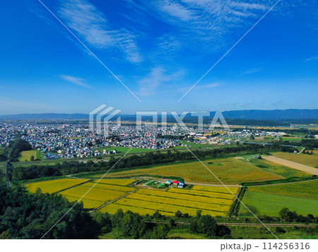 ドローン写真～夏 114256316