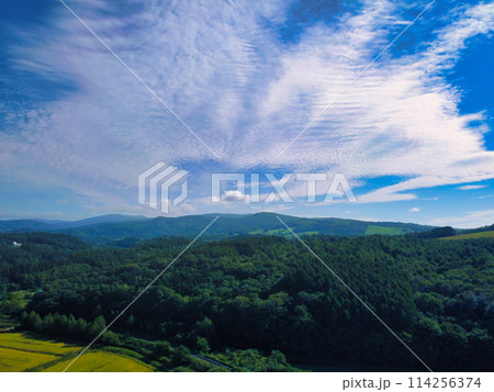 ドローン空撮~夏 ドローン空撮~夏 114256374