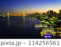 レインボーブリッジの見える夜景 114256561