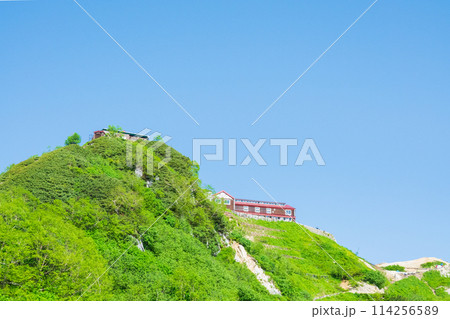 夏の燕岳登山（合戦尾根から燕山荘を望む） 114256589