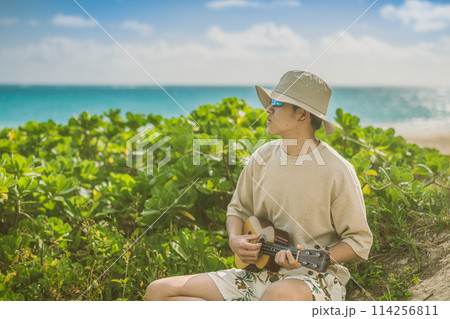 ハワイの砂浜で,ターコイズブルーの海をバックにウクレレをひく若い男性 114256811