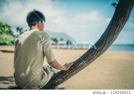 ハワイの砂浜で,ターコイズブルーの海を眺める若い男性 114256812