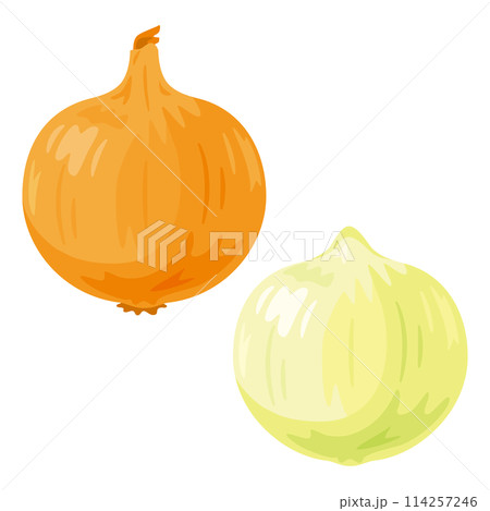 玉ねぎセット 114257246