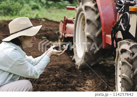 畑の土をチェックする女性 114257642