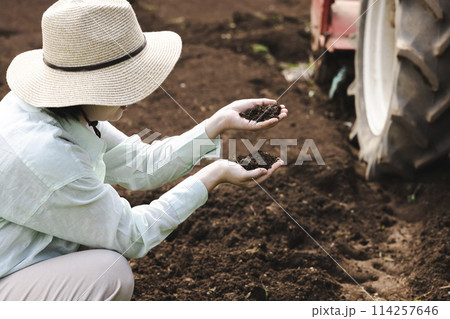 畑の土をチェックする女性 畑の土をチェックする女性 114257646