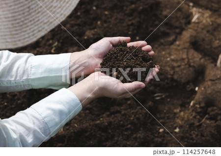 畑の土をチェックする女性 114257648