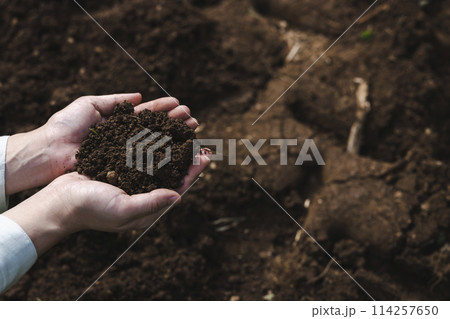 畑の土をチェックする女性 114257650