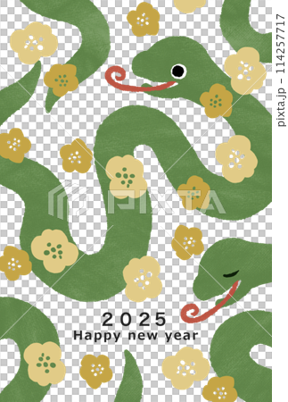 2025年　巳年　年賀状テンプレート 114257717