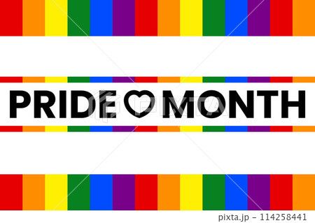 Pride month vector banner. Colorful design for a web banner. 114258441