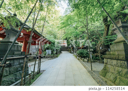熱海　来宮神社の参道 114258514