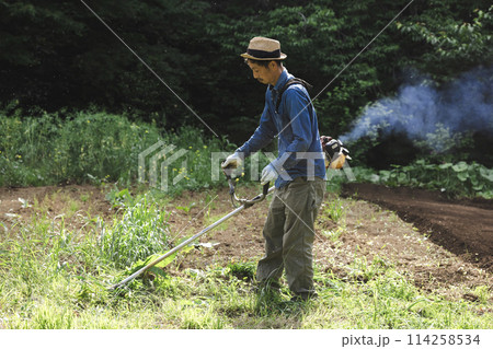 草刈機で雑草を刈る男性 草刈機で雑草を刈る男性 114258534