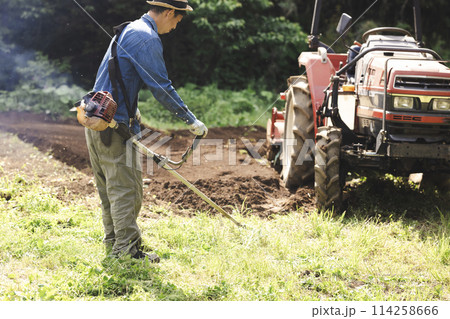 草刈機で雑草を刈る男性 114258666