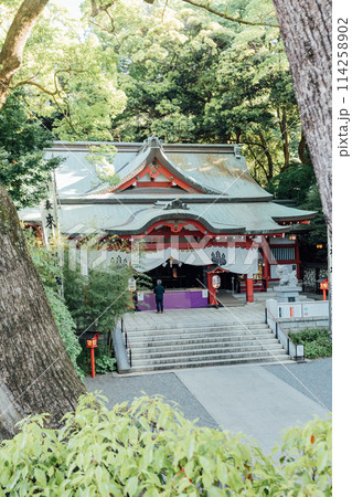 熱海　来宮神社 114258902