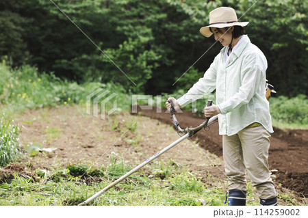 草刈機で雑草を刈る女性 草刈機で雑草を刈る女性 114259002