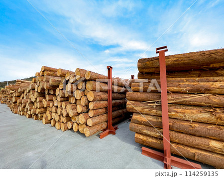 積み上げられた丸太 積み上げられた丸太 114259135