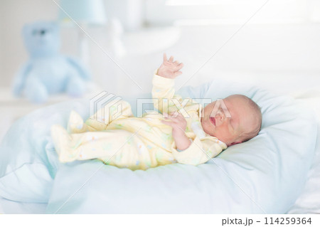 Newborn baby boy in hosptal cot Newborn baby boy in hosptal cot 114259364