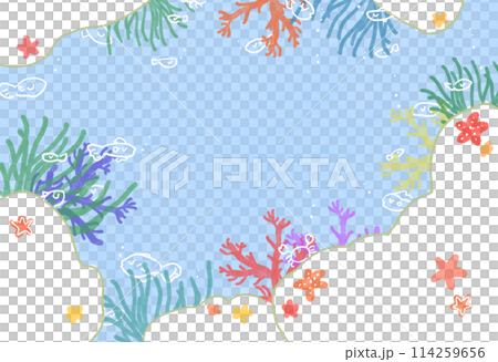 小魚と珊瑚とヒトデのいる海の背景イラスト 114259656