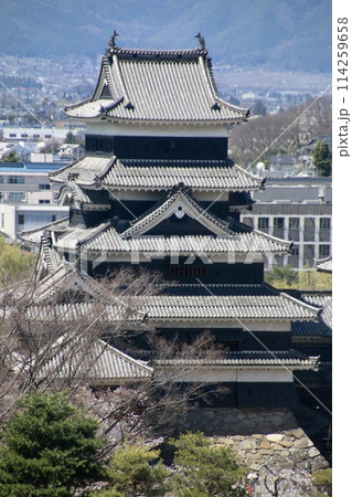 市役所展望室からの眺望・天守アップ(長野県・松本市) 市役所展望室からの眺望・天守アップ(長野県・松本市) 114259658