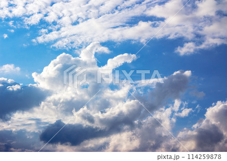 white cumulus clouds on a blue sky. beautiful nature background in evening light 114259878